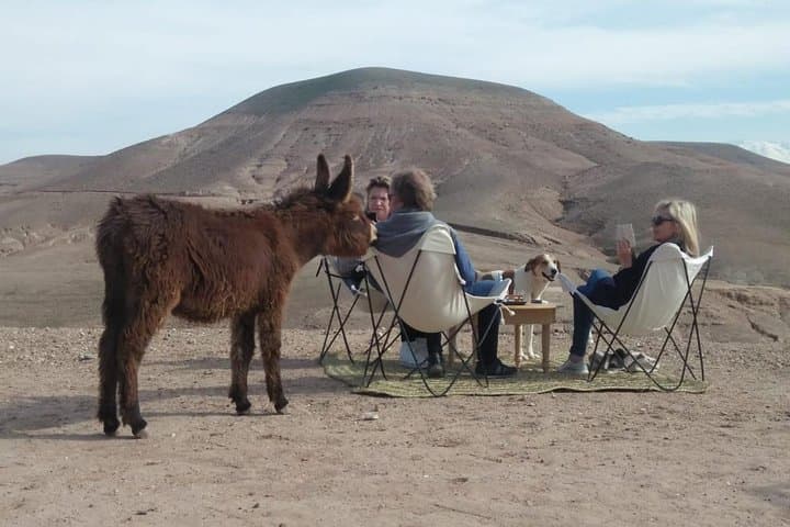 Agafay Desert Luxury Day Retreat: Camel Rides, Quad Biking & Berber Dinner Near Marrakech photo 1