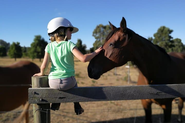 Private Farm Tour Experience Near Melbourne: Hands-On Animal Encounters & Fresh Produce photo 1