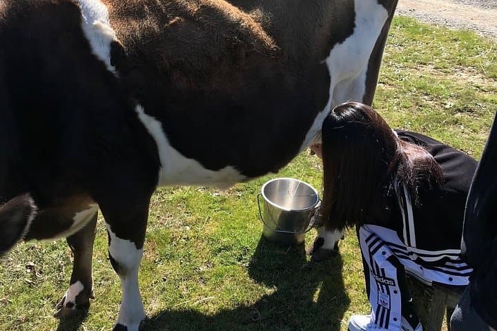 Private Farm Tour Experience Near Melbourne: Hands-On Animal Encounters & Fresh Produce photo 2