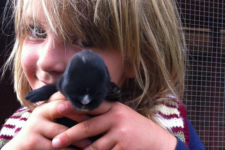 Private Farm Tour Experience Near Melbourne: Hands-On Animal Encounters & Fresh Produce photo 3