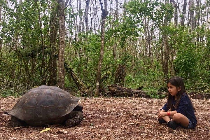 Giant Tortoise Experience and Los Gemelos — Santa Cruz Island Tour photo 4