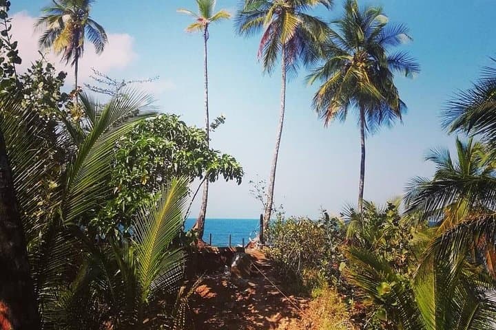 Gandoca-Manzanillo Hike: Caribbean Coastal Trail and Wildlife Viewing