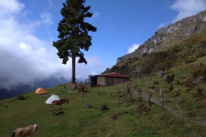 Paramo de Romerales: Two-Day High-Altitude Trek from Salento photo 5