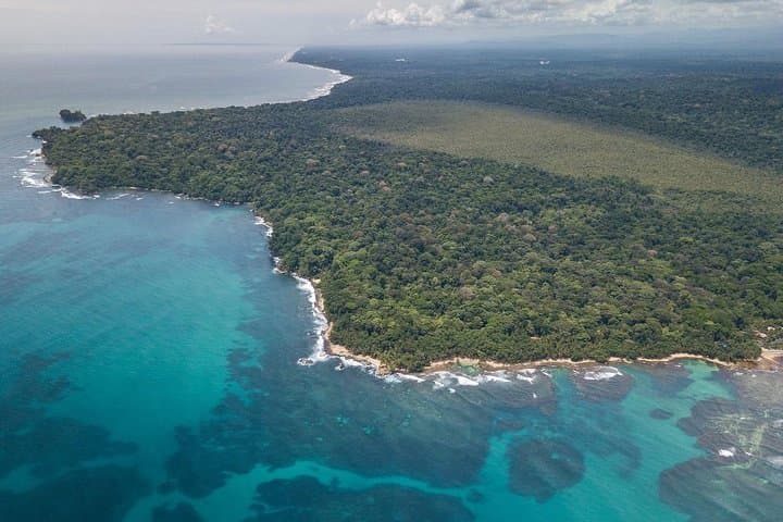 Gandoca-Manzanillo Hike: Caribbean Coastal Trail and Wildlife Viewing photo 3
