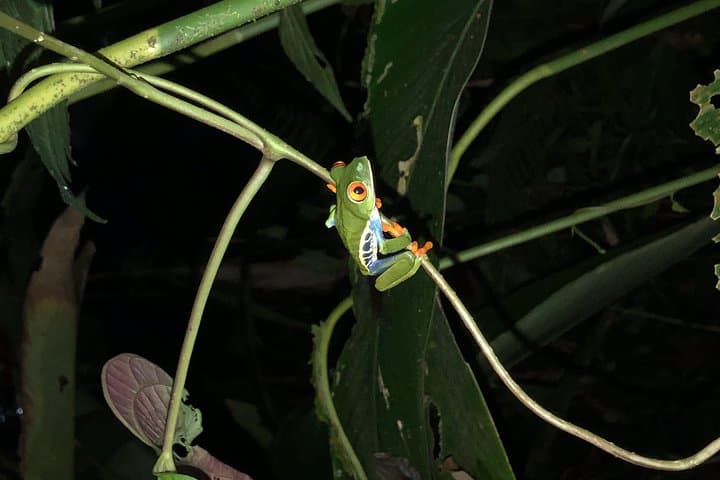 Luxury Private Tripping Costa Rica: 2+ Day Custom Tours from San José photo 3