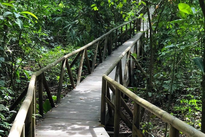 Luxury Private Tripping Costa Rica: 2+ Day Custom Tours from San José photo 6