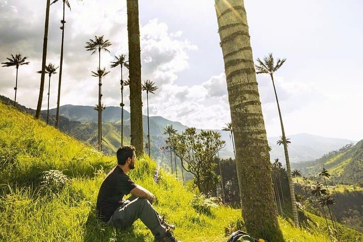 Cocora Valley & Santa Rita Waterfall: Full-Day Jeep and Horseback Tour from Salento photo 3