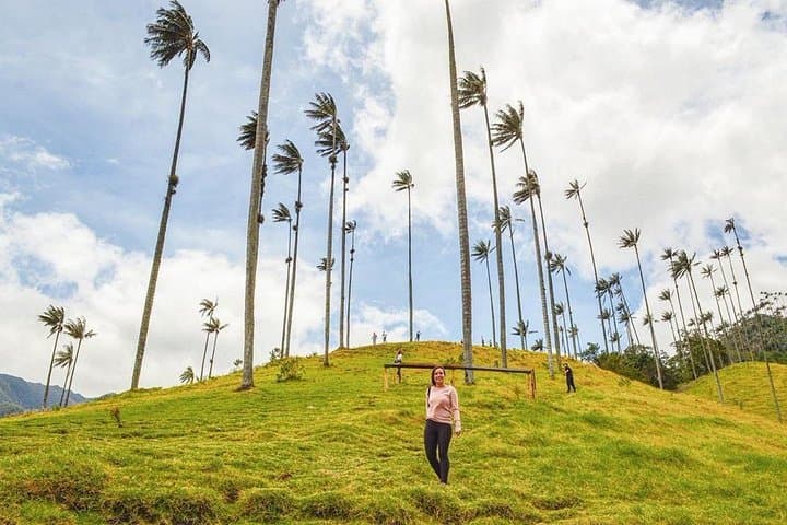 Cocora Valley Hummingbird Circuit: 12 km Cloud-Forest Hike from Salento photo 6