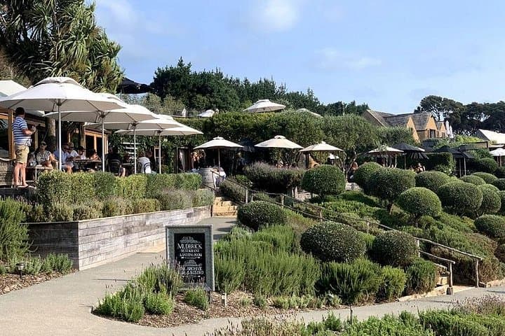 Waiheke Island Vineyards and Bush Walk — Half-Day Coastal Hike with Wine Tasting photo 4