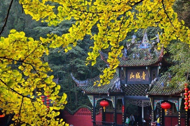 3-Day Private Chengdu Highlights: Pandas, Leshan Buddha & Qingcheng Mountain photo 4