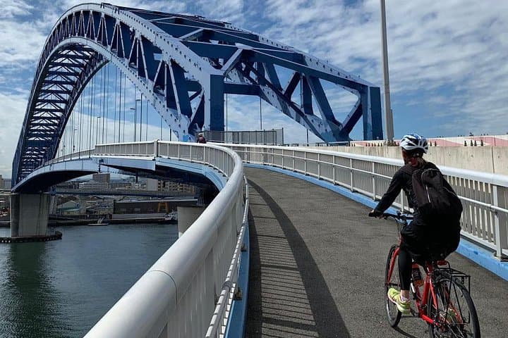 Osaka Harbor Cycling Tour — Ride Rivers, Ferries & City Landmarks