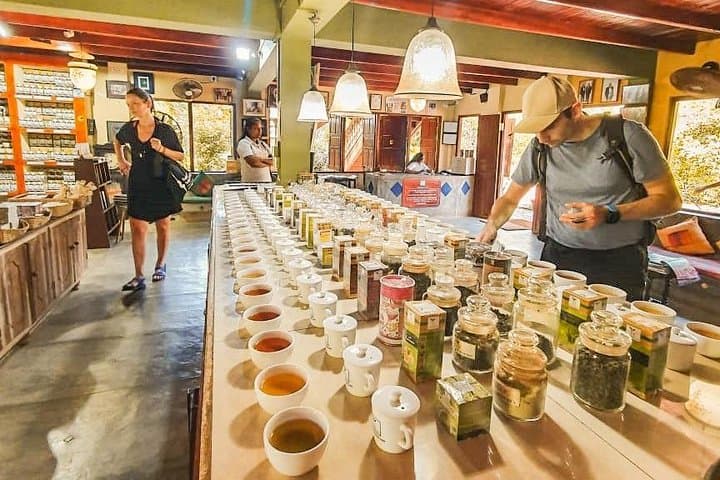 Yala from Galle: 2-Day Wildlife, Coast & Tea Estate Escape
