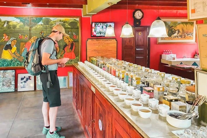 Sea, Sand & Marine Life: 2-Day Southern Coast Escape from Colombo photo 4