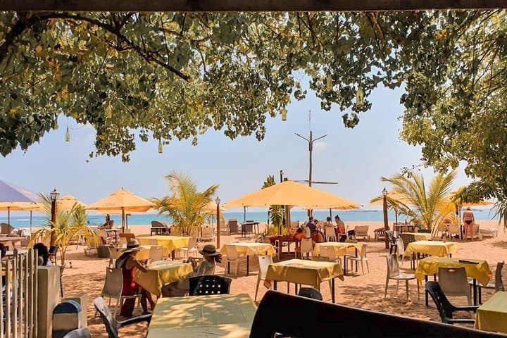 Sea, Sand & Marine Life: 2-Day Southern Coast Escape from Colombo photo 5