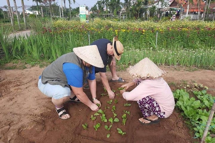 Hoi An Village Experience & Lantern Making — Tra Que Farming, Buffalo Ride & Basket Boat photo 4