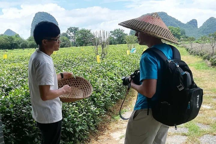 Daxu Old Town and Yaoshan Tea Plantation Day Tour — Guilin Cultural & Tea-Picking Experience photo 2