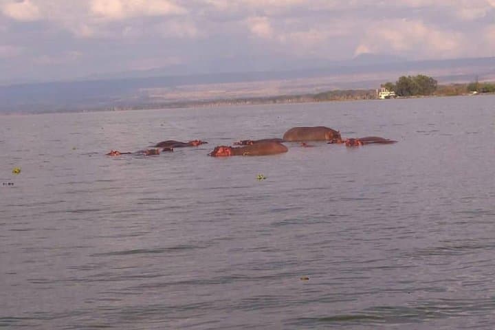 Lake Naivasha Day Trip: Bike, Hike and Boat Through Hell's Gate photo 4