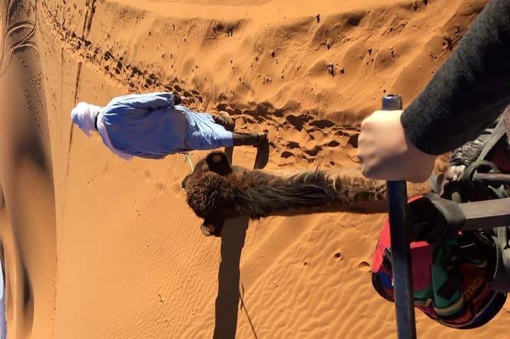 Sahara Desert 3-Day Trek: Marrakech to Merzouga Erg Chebbi Experience photo 4