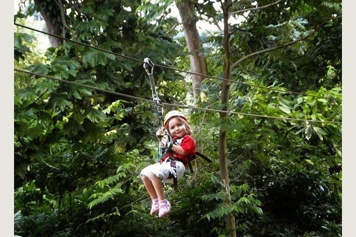 Punta Cana Zip Line Half-Day Rainforest Canopy Adventure photo 5