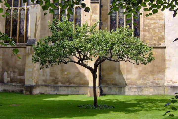 cambridge-university-walking-tour-historic-colleges-and-river-cam photo 6