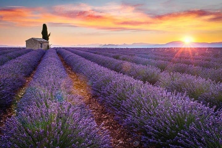 Lavender Fields and Salda Lake Day Trip from Antalya photo 4