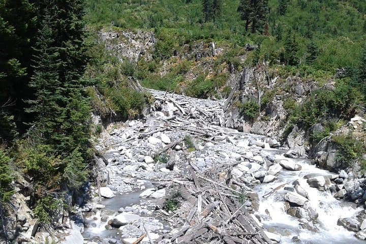 Mount Rainier Private SUV Tour: Full-Day Scenic Drive, Waterfalls & Wildflower Meadows from Seattle photo 4
