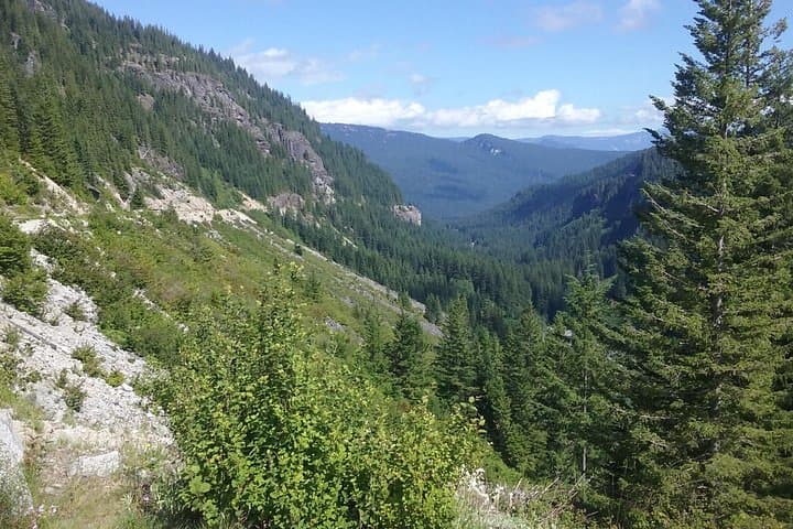 Mount Rainier Private SUV Tour: Full-Day Scenic Drive, Waterfalls & Wildflower Meadows from Seattle photo 6