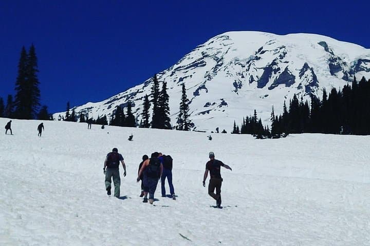 Mount Rainier Private SUV Tour: Full-Day Scenic Drive, Waterfalls & Wildflower Meadows from Seattle photo 5