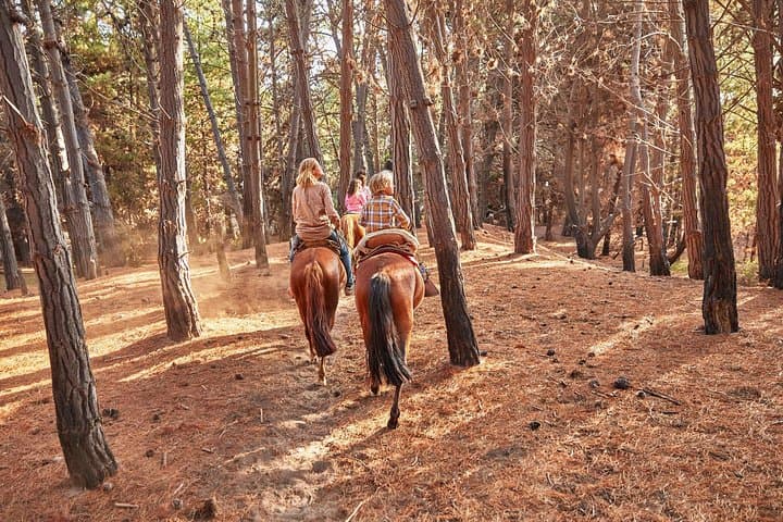 Hike Cerro El Mauco and Horseback Ride the Ritoque Dunes from Valparaiso