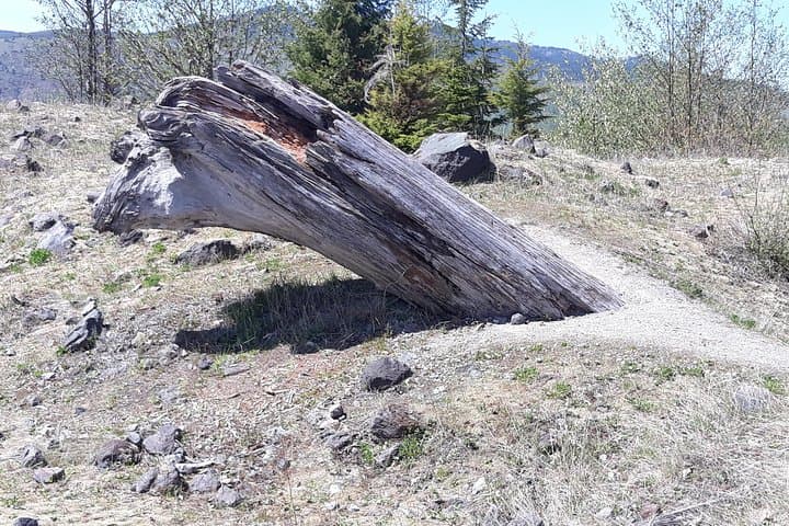 Private Mount St. Helens Day Trip to Johnston Ridge — Luxury Volcano Tour from Seattle