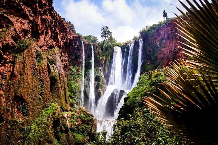 Day Trip to Ouzoud Waterfalls from Marrakech: Guide to the 300-Foot Cascades photo 6