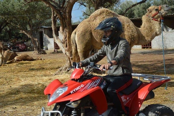 Half-Day Quad Bike Tour in Marrakech Palmeraie and Jbilat Mountains photo 2