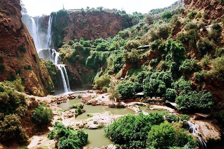 Ouzoud Falls Day Trip from Marrakech: Waterfalls, Monkeys & Olive Terraces photo 2