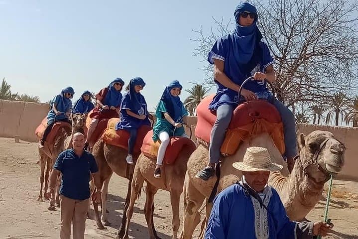Marrakech Palm Grove Camel Ride — Hour-Long Camels & Mint Tea Experience