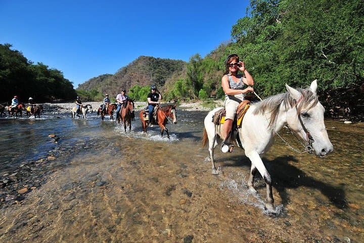 Jungle Horseback Ride to Las Palmas Waterfall with Lunch and Tequila
