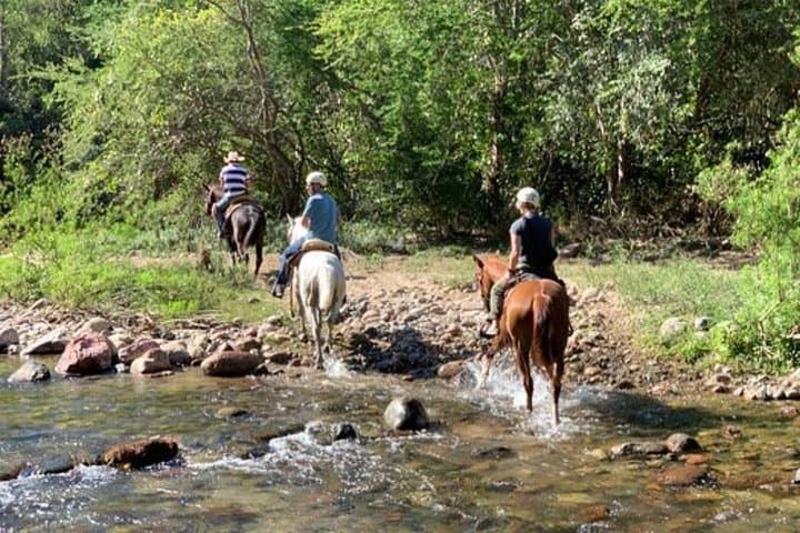 Jungle Horseback Ride to Las Palmas Waterfall with Lunch and Tequila photo 2