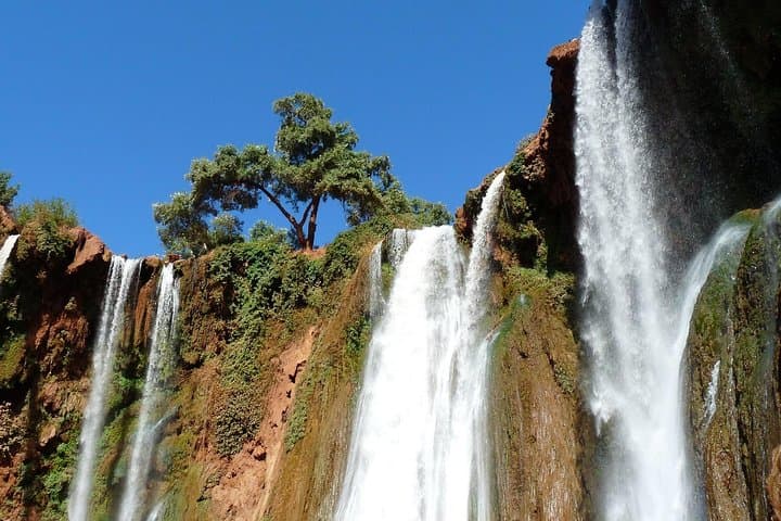 Ouzoud Falls Day Trip from Marrakech: Waterfalls, Monkeys & Olive Terraces photo 5
