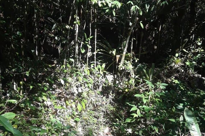 Accompong Maroon Town Day Adventure: Cockpit Country Cultural & Scenic Tour photo 6
