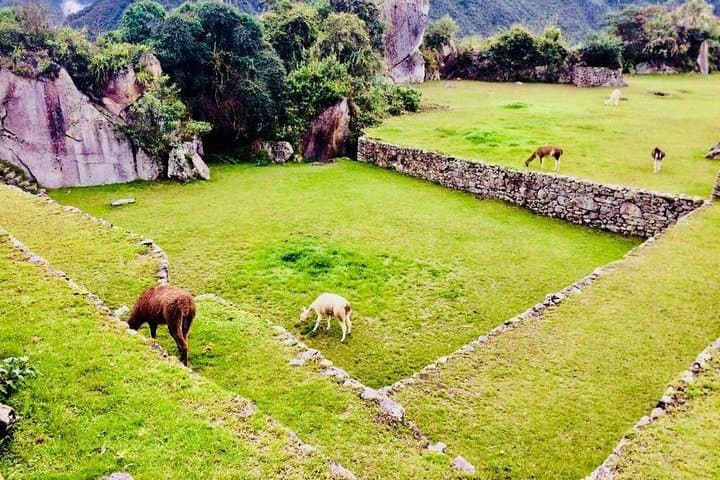 Full-Day Machu Picchu Guided Visit: History, Hikes & Practical Tips photo 3