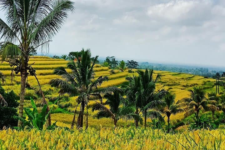 Ulun Danu Temple and Waterfall Full-Day Tour: Bedugul, Wanagiri & Jatiluwih photo 3