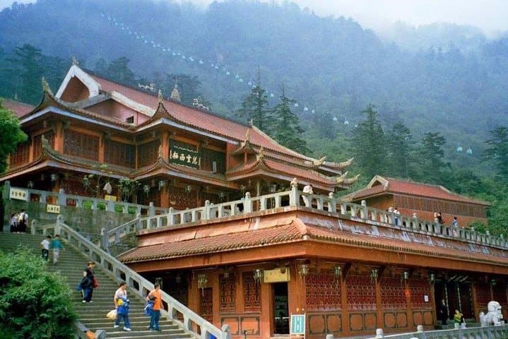 Chengdu Private Day Tour to Mount Emei — Cable Car to Golden Summit with Lunch photo 3