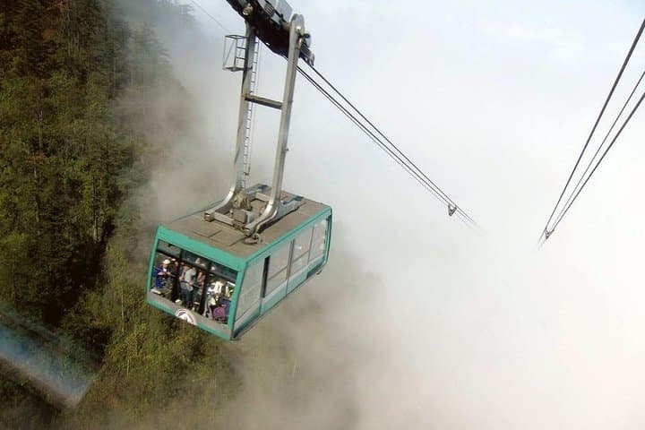 Chengdu Private Day Tour to Mount Emei — Cable Car to Golden Summit with Lunch photo 4