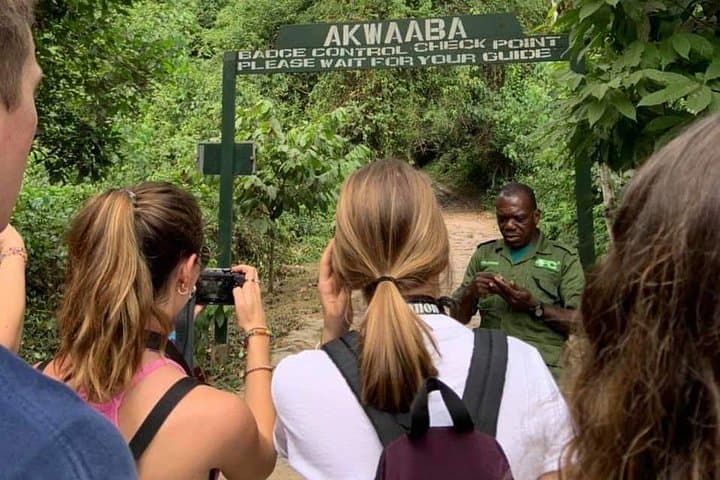 Day Trip to Cape Coast & Elmina: Castles, Kakum Canopy Walk & Ghana Coastal History photo 5