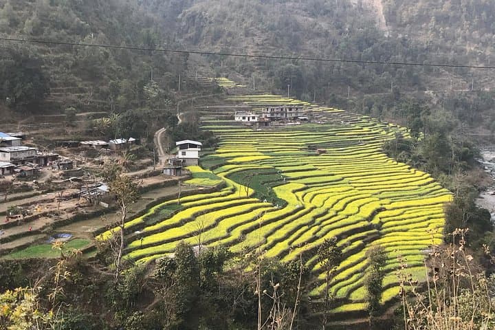 Bhotekoshi River: 1-Day Whitewater Rafting from Kathmandu photo 6