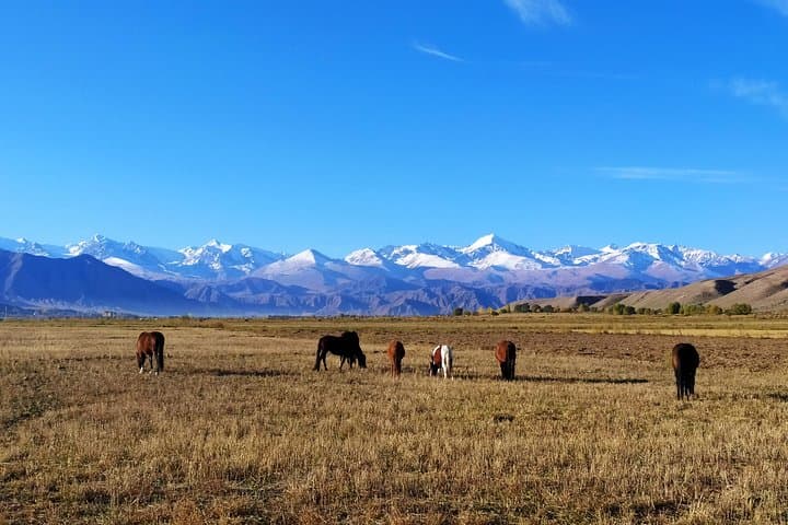 Marvelous 3-Day Issyk-Kul Lake Circuit: Yurts, Gorges & Ancient Sites photo 2
