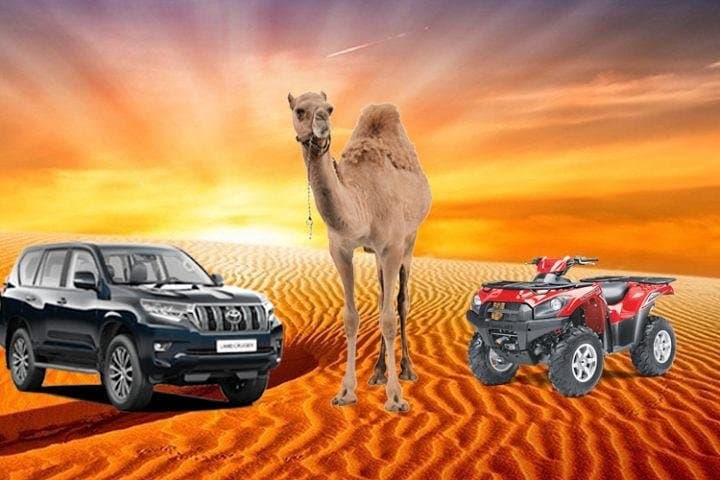Dubai Desert Safari with Dune Bashing and Unlimited Unlimited Barbecue Dinner photo 4