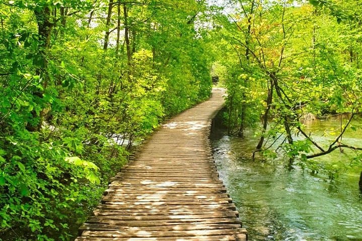 Private Day Tour to Plitvice Lakes National Park from Zagreb