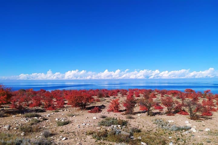 Marvelous 3-Day Issyk-Kul Lake Circuit: Yurts, Gorges & Ancient Sites