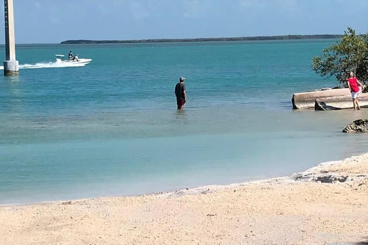 Exploring the Florida Keys: Scenic Private Shuttle from Fort Lauderdale to Key West photo 3