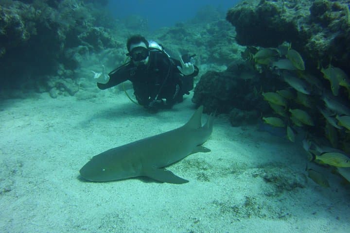 Small-Group SCUBA Dive at Key Largo Reef — Two One-Hour Reef Stops photo 2